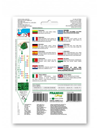 Semi di Spinacio America