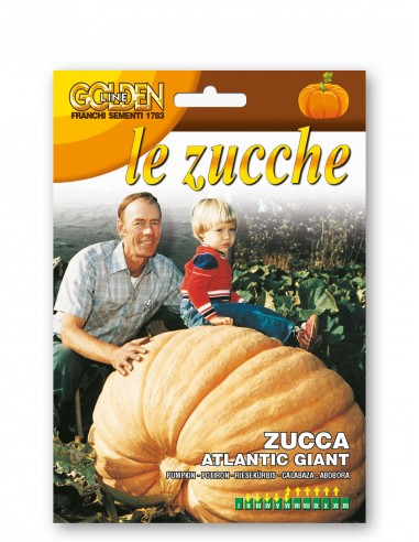 Semi di Zucca Atlantic Giant