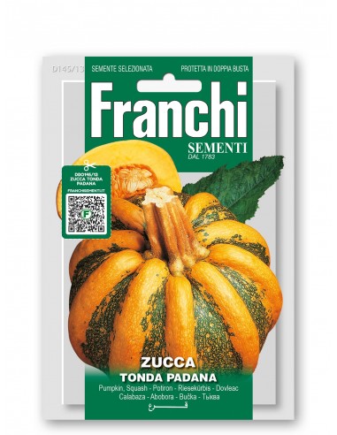 Semi di Zucca Tonda Padana