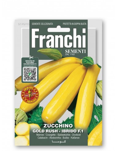 Semi di Zucchino Gold Rush Ibrido F1