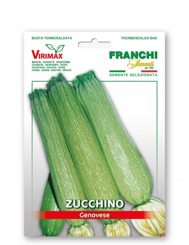 Semi di Zucchino Genovese