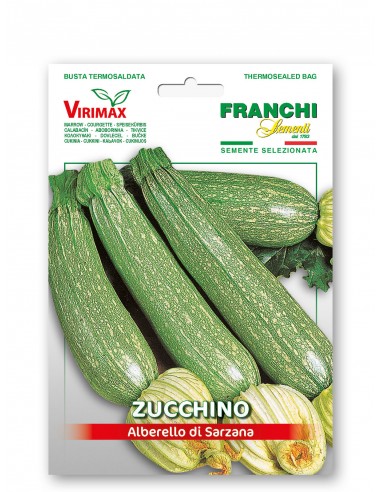 Semi di Zucchino Alberello di Sarzana