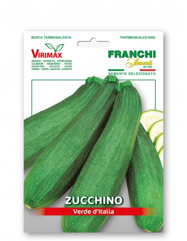 Semi di Zucchino Verde d'Italia