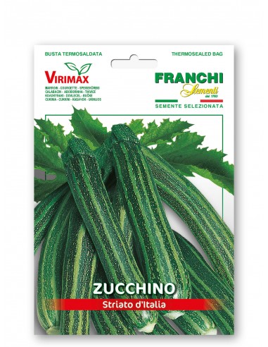 Semi di Zucchino Striato d'Italia