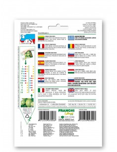 Semi di Zucchino Tondo Chiaro di Nizza 2