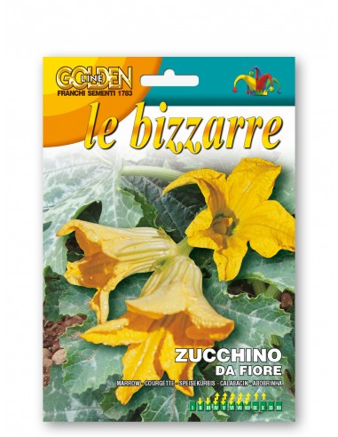 Semi di Zucchino da Fiore