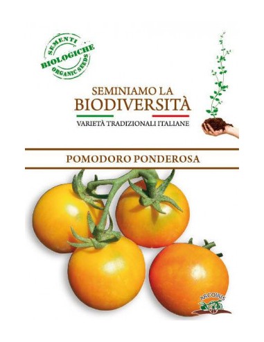 Semi di Pomodoro Ponderosa BIO