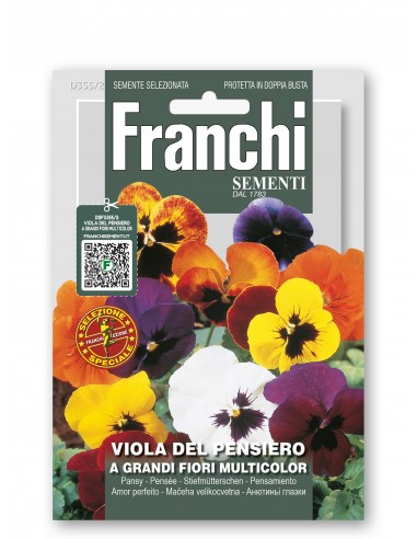 Semi di Viola del Pensiero a Grandi Fiori Multicolor