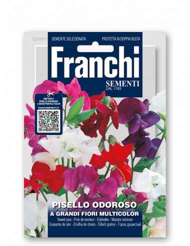 Semi di Pisello Odoroso a Grandi Fiori Multicolor