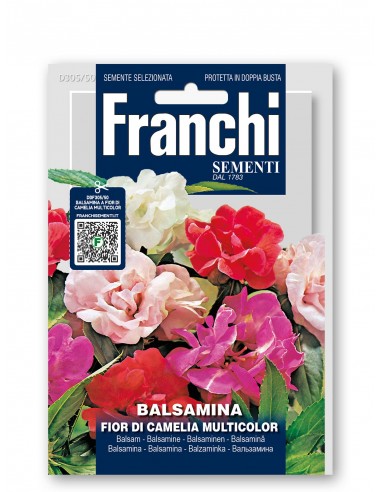 Semi di Balsamina Fior di Camelia