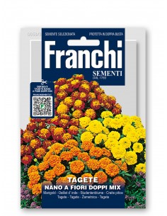 Semi di Tagete Nano a Fiori Doppi Multicolor
