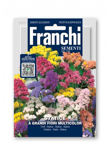 Semi di Statice a Grandi Fiori Multicolor