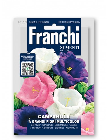 Semi di Campanula a Grandi Fiori Multicolor