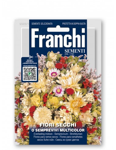 Semi di Fiori Secchi o Semprevivi Multicolor