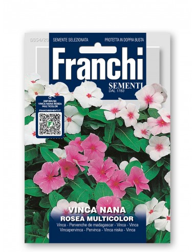 Semi di Vinca Nana Rosea Multicolor