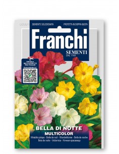 Semi di Bella di Notte Multicolor