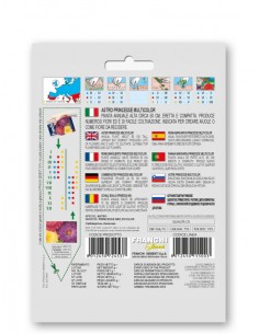 Semi di Astro Princesse Multicolor 2