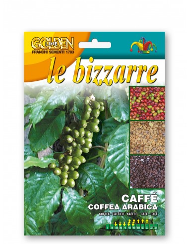 Semi di Caffé Arabico