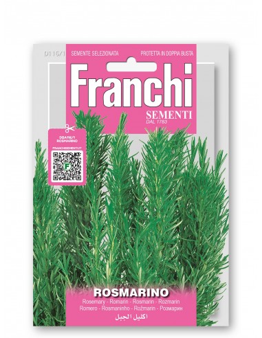 Semi di Rosmarino Officinale