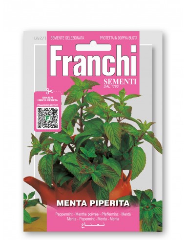 Semi di Menta Piperita