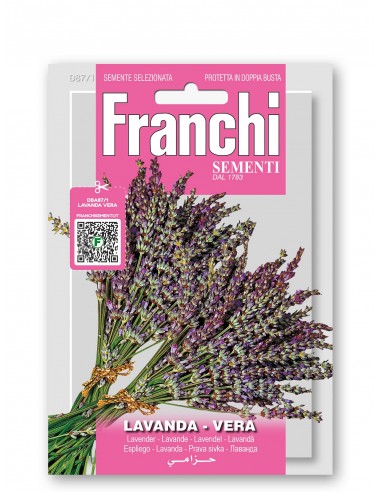 Semi di Lavanda Vera