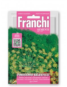 Semi di Finocchio Selvatico