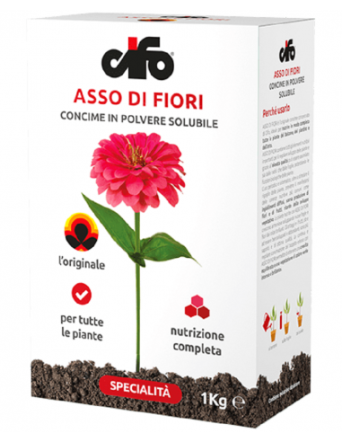 Asso di Fiori