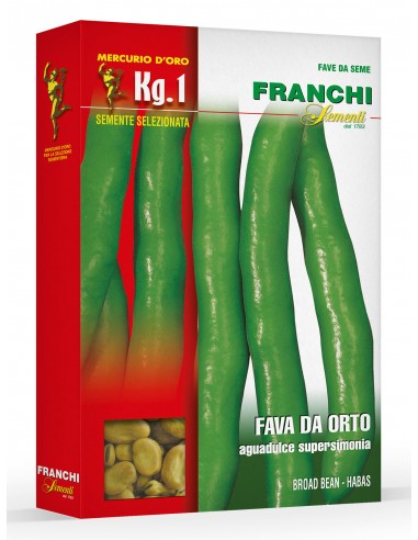 Semi di Fava da Orto Aguadulce Supersimonia 1 Kg