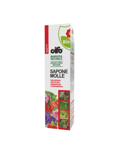 Sapone Molle