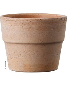 Vaso in Terracotta Liscio Mini Siena Ø11