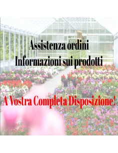 Concime Liquido Magnesium Fast 1lt 2