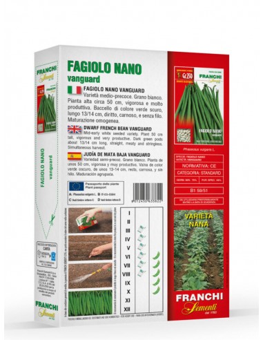 Semi di Fagiolo Nano Vanguard 250gr