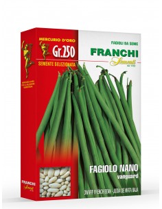 Semi di Fagiolo Nano Vanguard 250gr