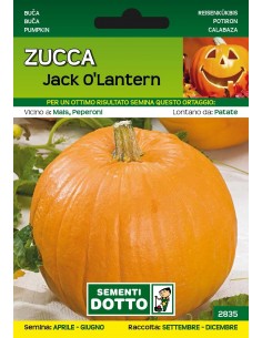 Semi Dotto di Zucca Jack O’Lantern