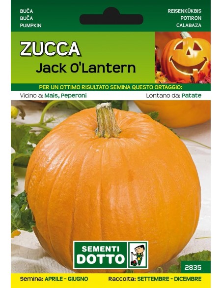 Semi Dotto di Zucca Jack O’Lantern