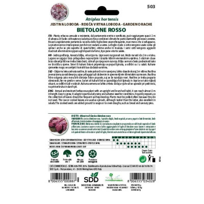 Semi Dotto di Bietolone Rosso