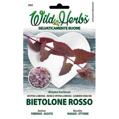 Semi Dotto di Bietolone Rosso