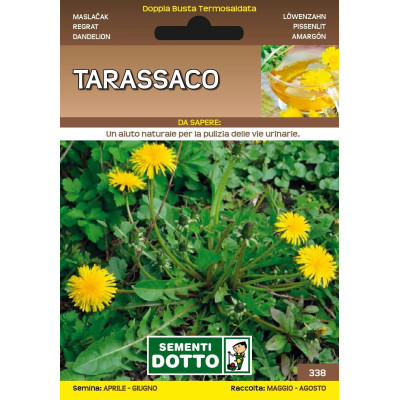 Semi Dotto di Tarassaco