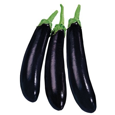 copy of copy of copy of copy of Pianta di Peperoncino Viagra del Cile in Vaso da 14 cm