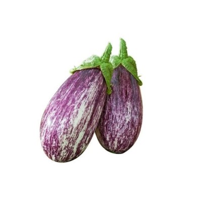 Melanzana Striata Innestata – Pianta da Orto Produttiva e Resistente