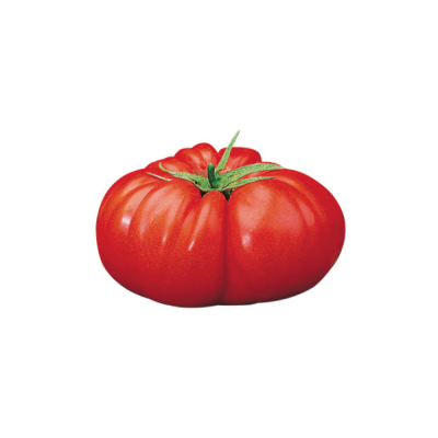 Pomodoro Beefmaster Innestato – Pianta da Orto con Frutti Giganti