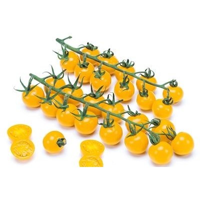 Pomodoro Ciliegino Giallo Innestato – Pomodorini Dolci per Insalata