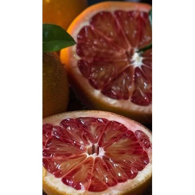 Clementina Rubino Fitocella – Citrus Dolce Senza Semi