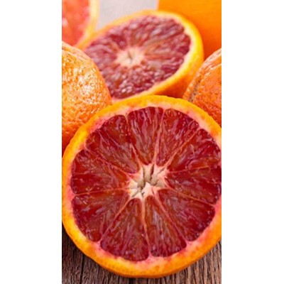Pianta di Arancio Tarocco in fitocella