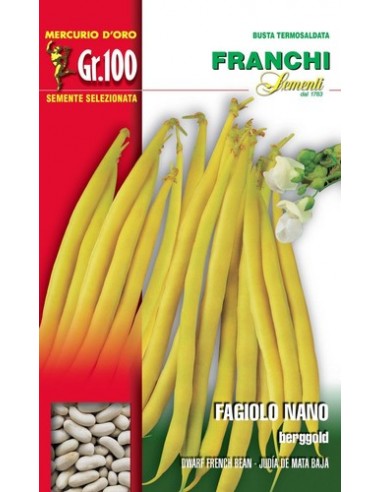 Semi di Fagiolo Nano Berggold 100 gr